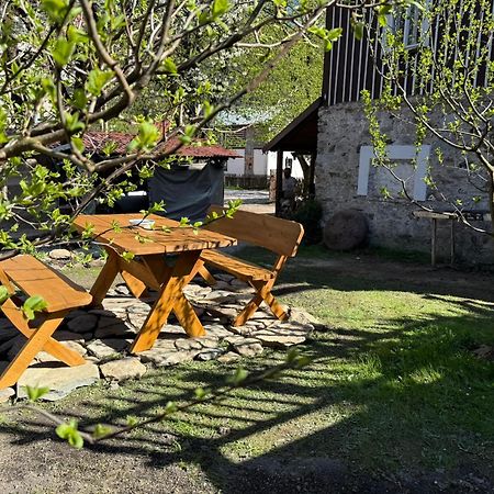 Vila Adelka - Utulna Chalupa V Krkonosich Horni Marsov Exterior photo