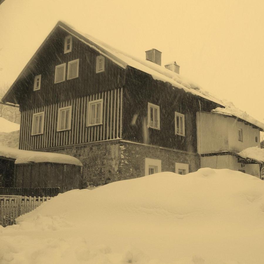 Vila Adelka - Utulna Chalupa V Krkonosich Hotel Horni Marsov Exterior photo