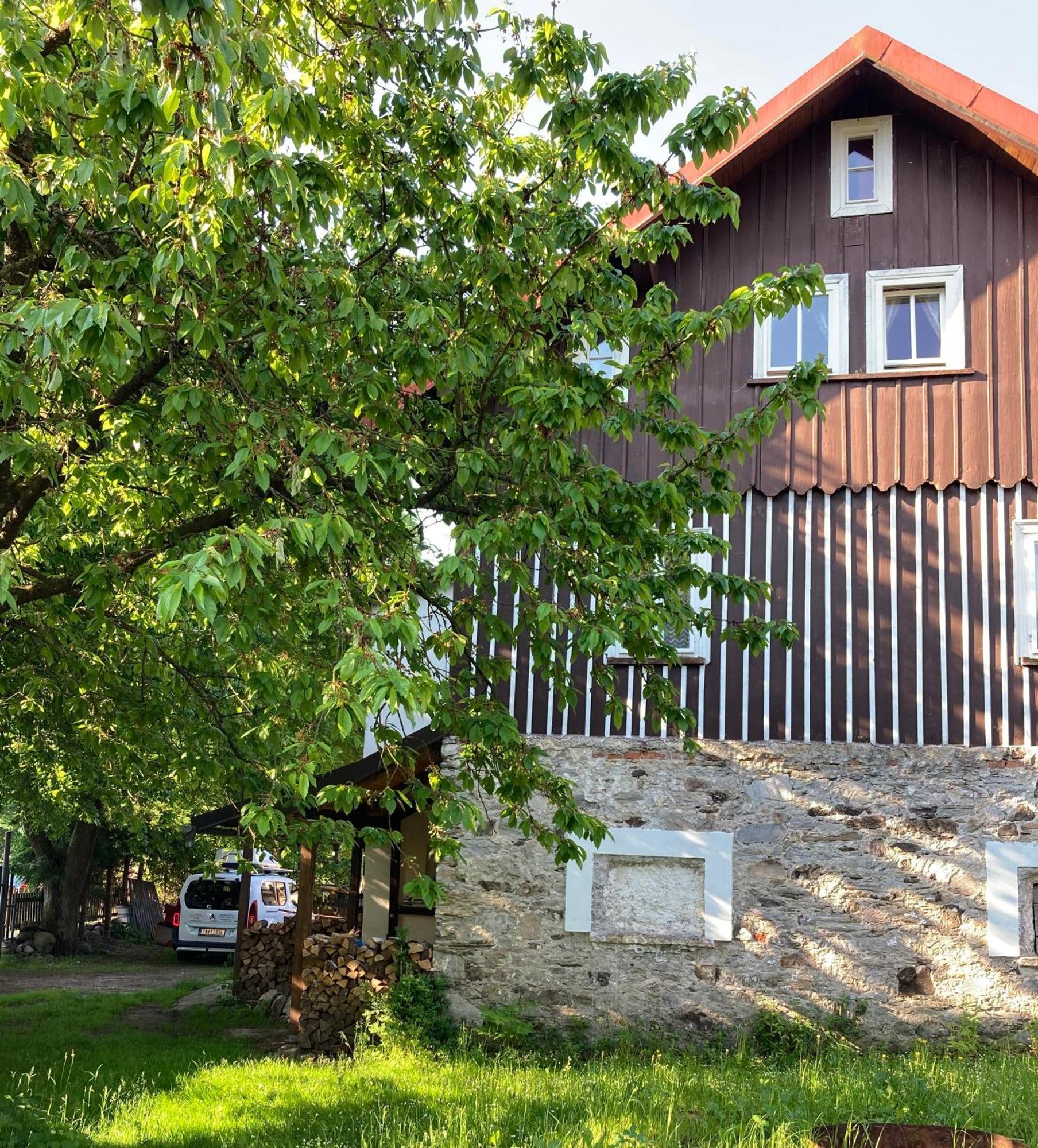 Vila Adelka - Utulna Chalupa V Krkonosich Hotel Horni Marsov Exterior photo